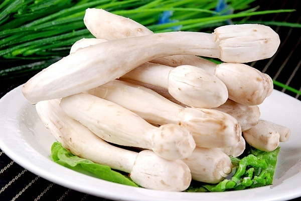 新手開魚火鍋店風(fēng)險大嗎 做好這幾點輕松降低風(fēng)險